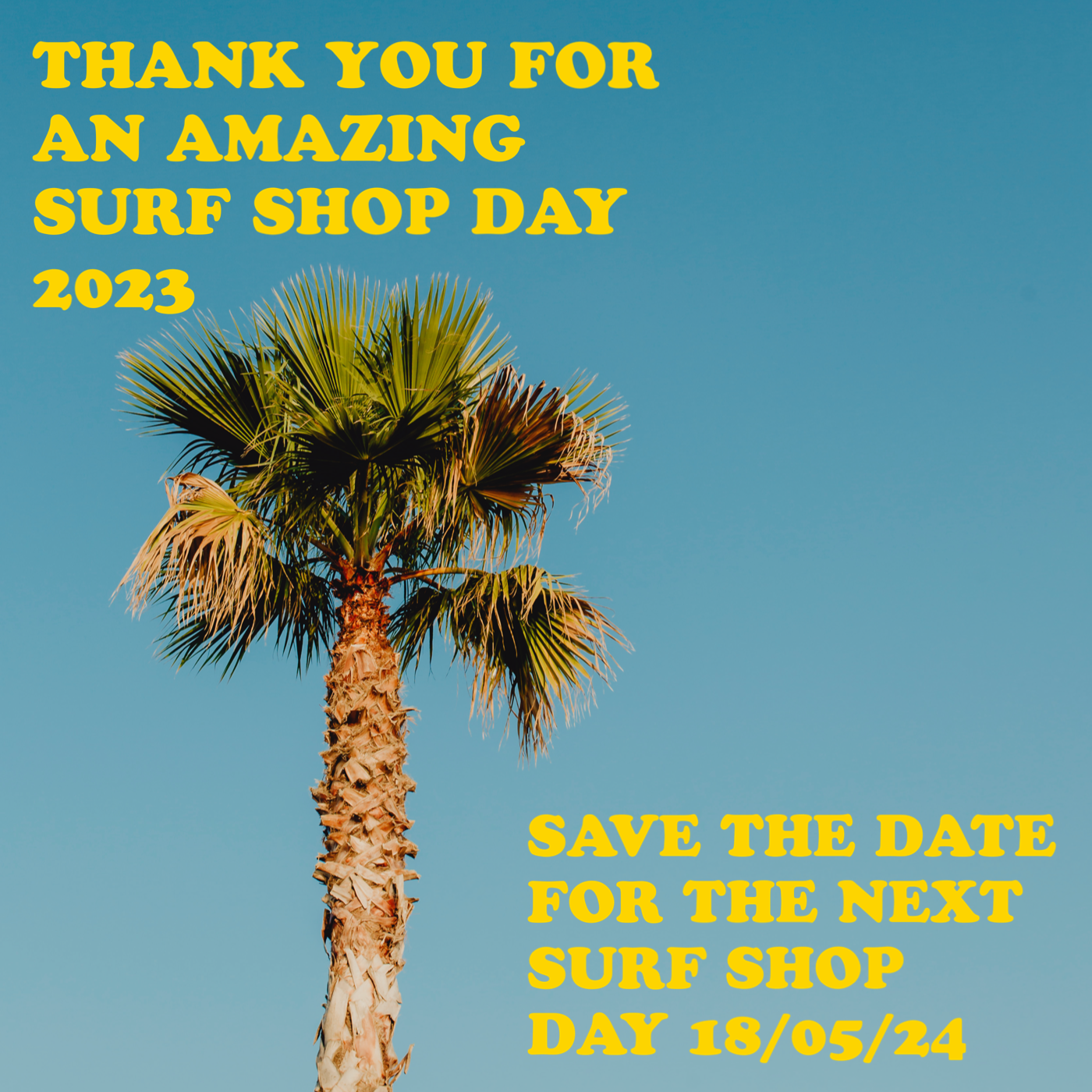 Surf 2024 shop sales